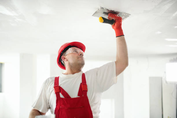 Best Commercial Painting  in USA